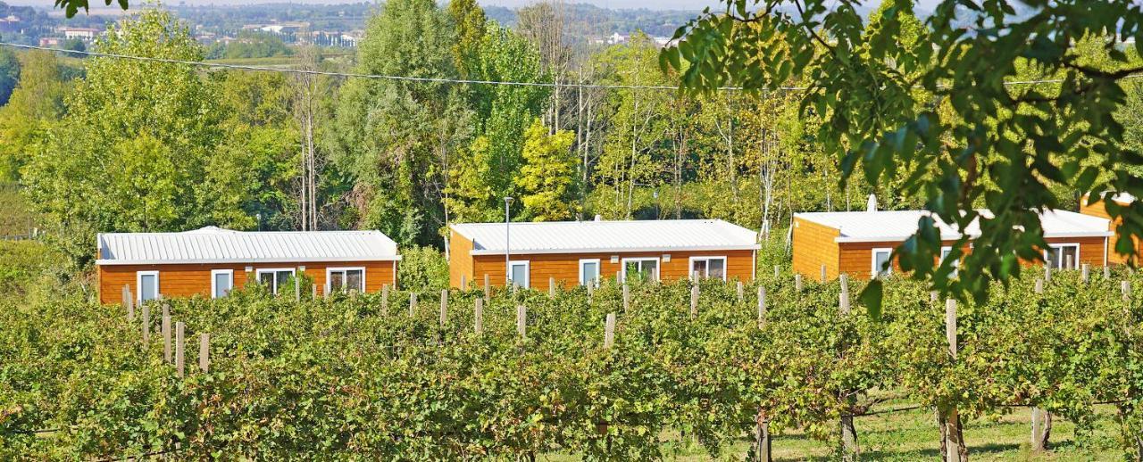 Agriturismo B&B Corte Tonolli Валеджо-суль-Мінчо Екстер'єр фото